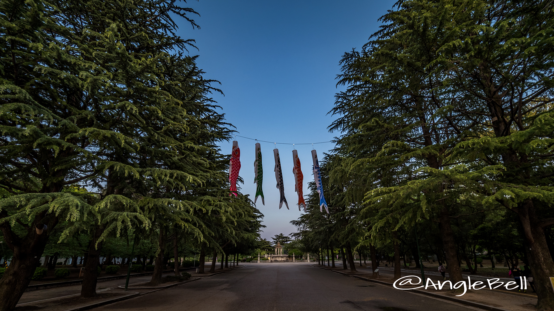 鶴舞公園 こいのぼりと噴水塔2017