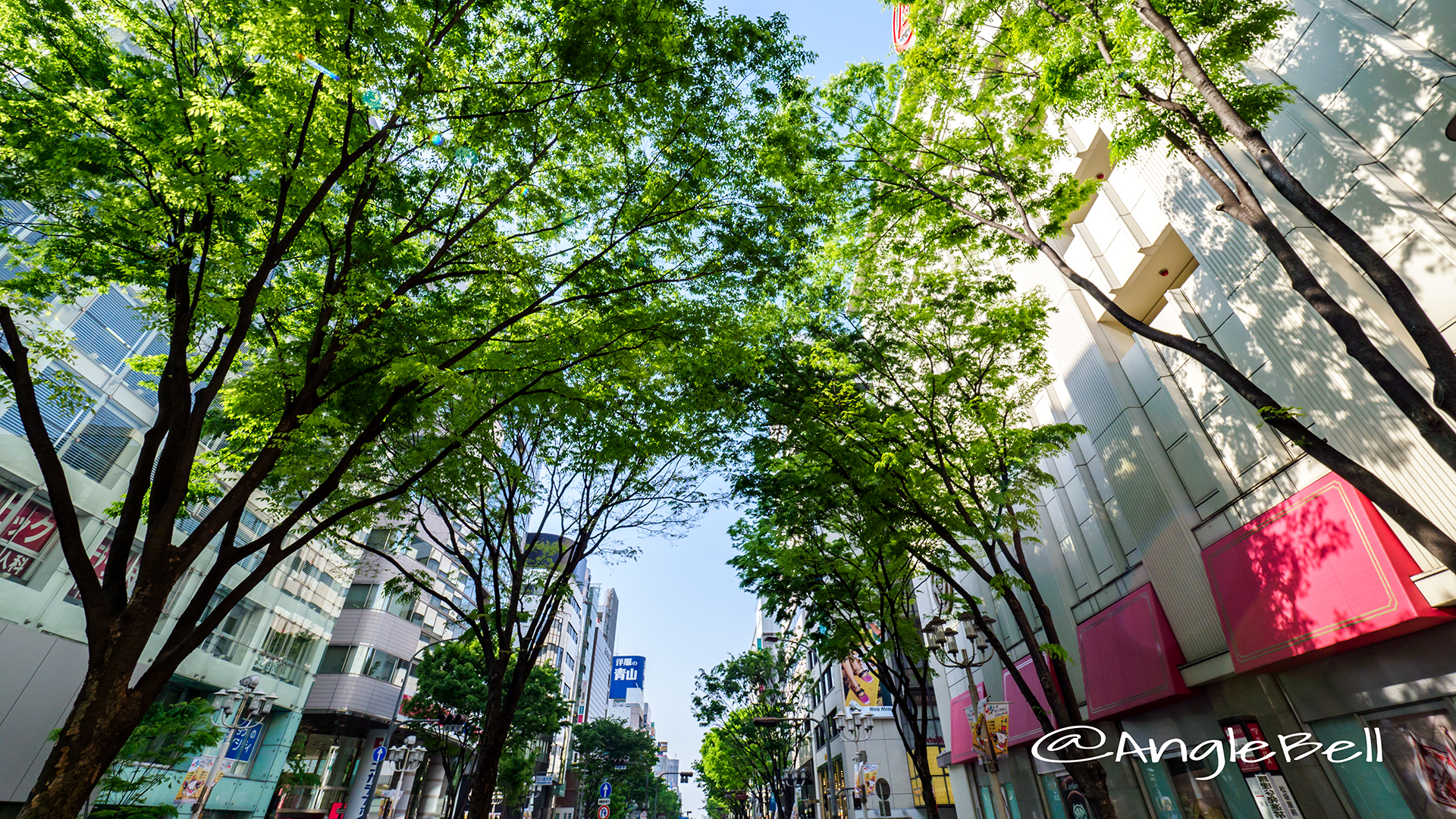 名古屋栄 南大津通 歩行者天国