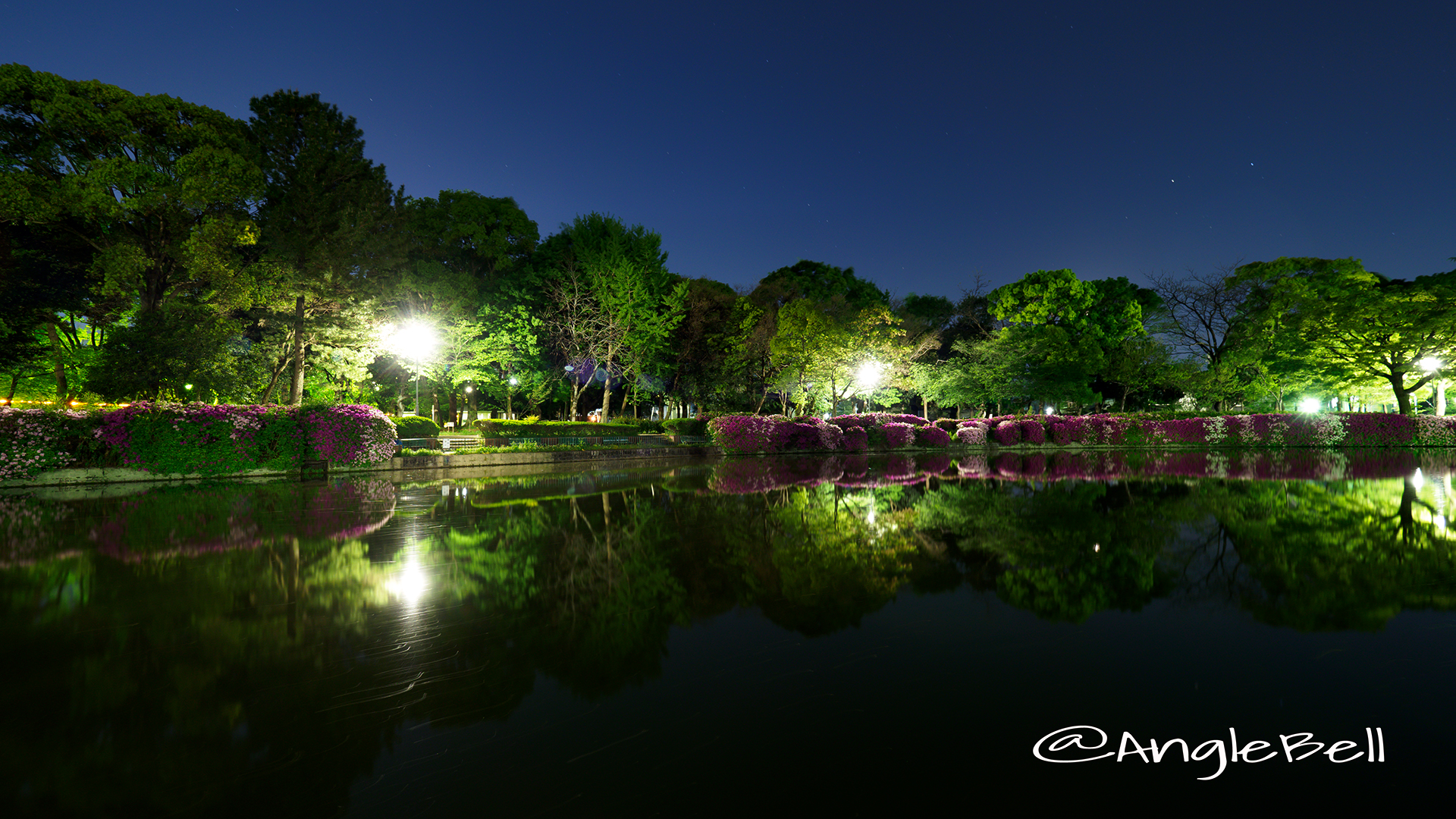 名城公園 御深井池(おふけ池)とツツジ(躑躅)