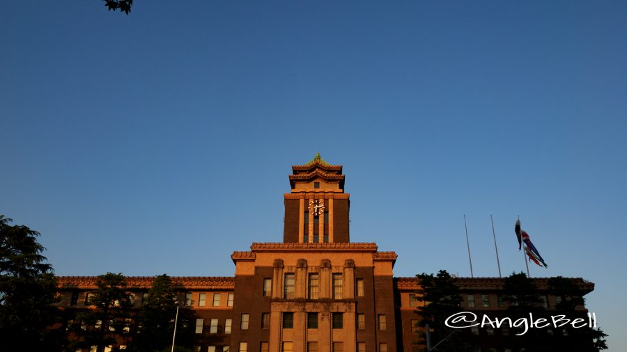 夕景 名古屋市役所と鯉のぼり