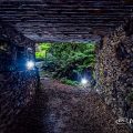 東山動植物園 旧ロックガーデン トンネル