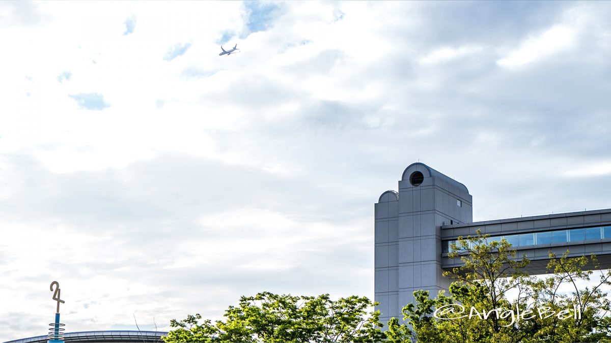 白鳥公園 名古屋国際会議場 展望と飛行機