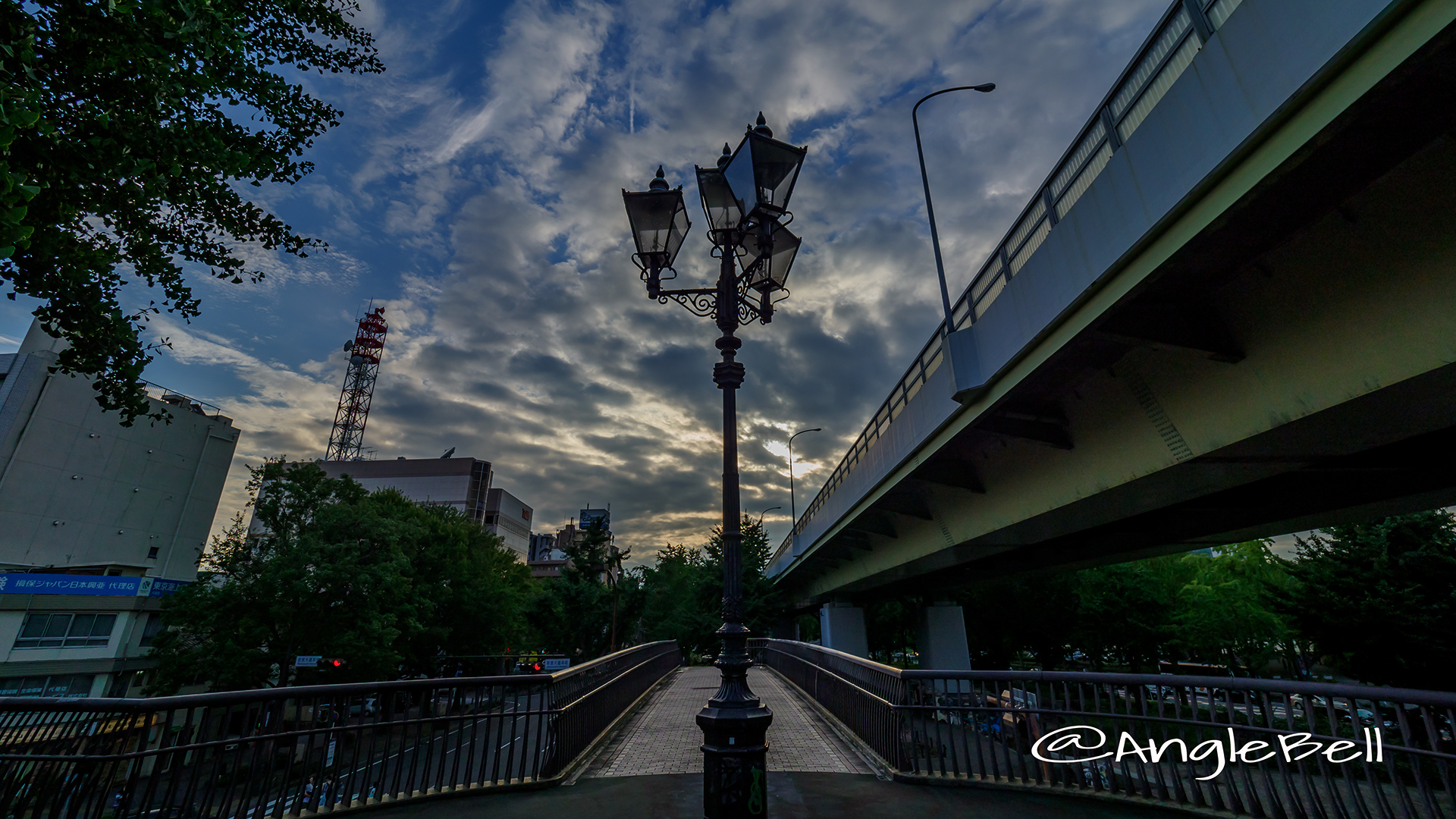 夕景 若宮大通公園 若宮ブリッジと街灯