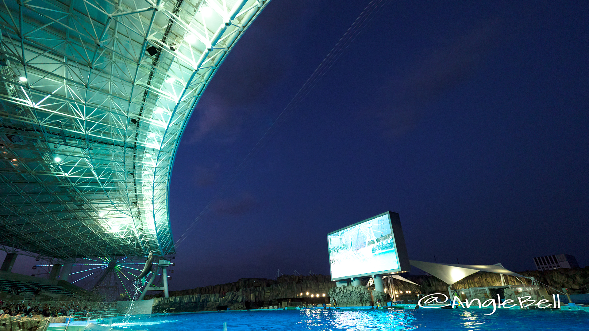 名古屋港水族館 イルカのナイトパフォーマンス