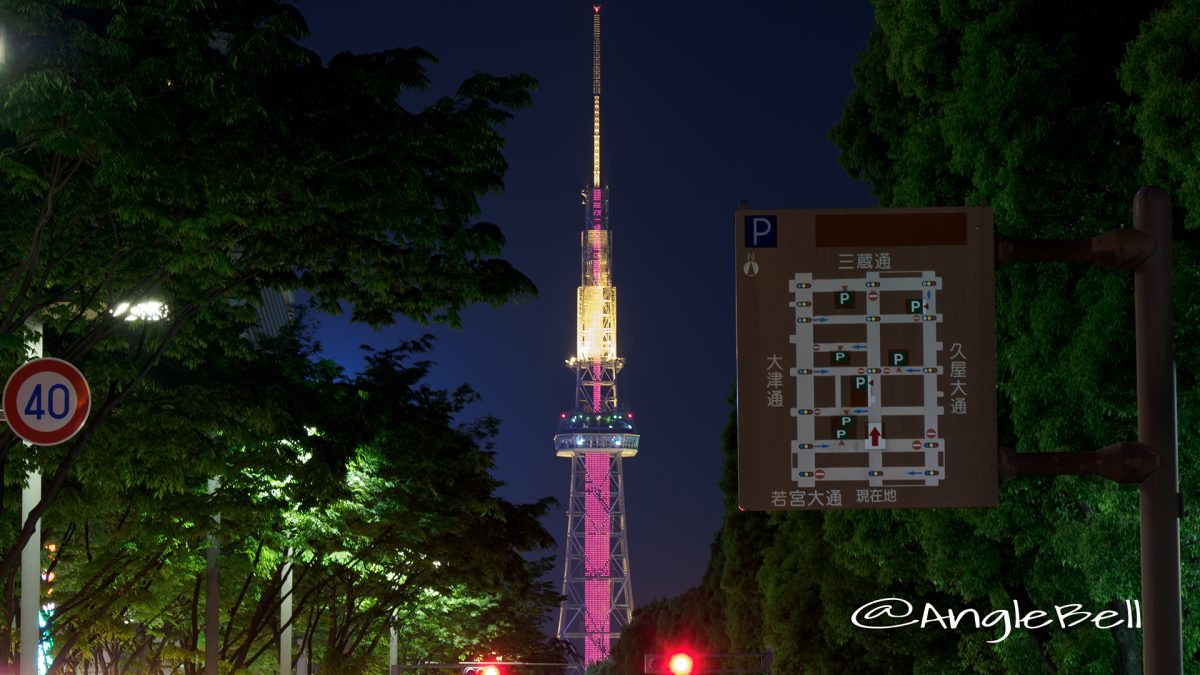 世界赤十字デー 名古屋テレビ塔 ライトアップ2017