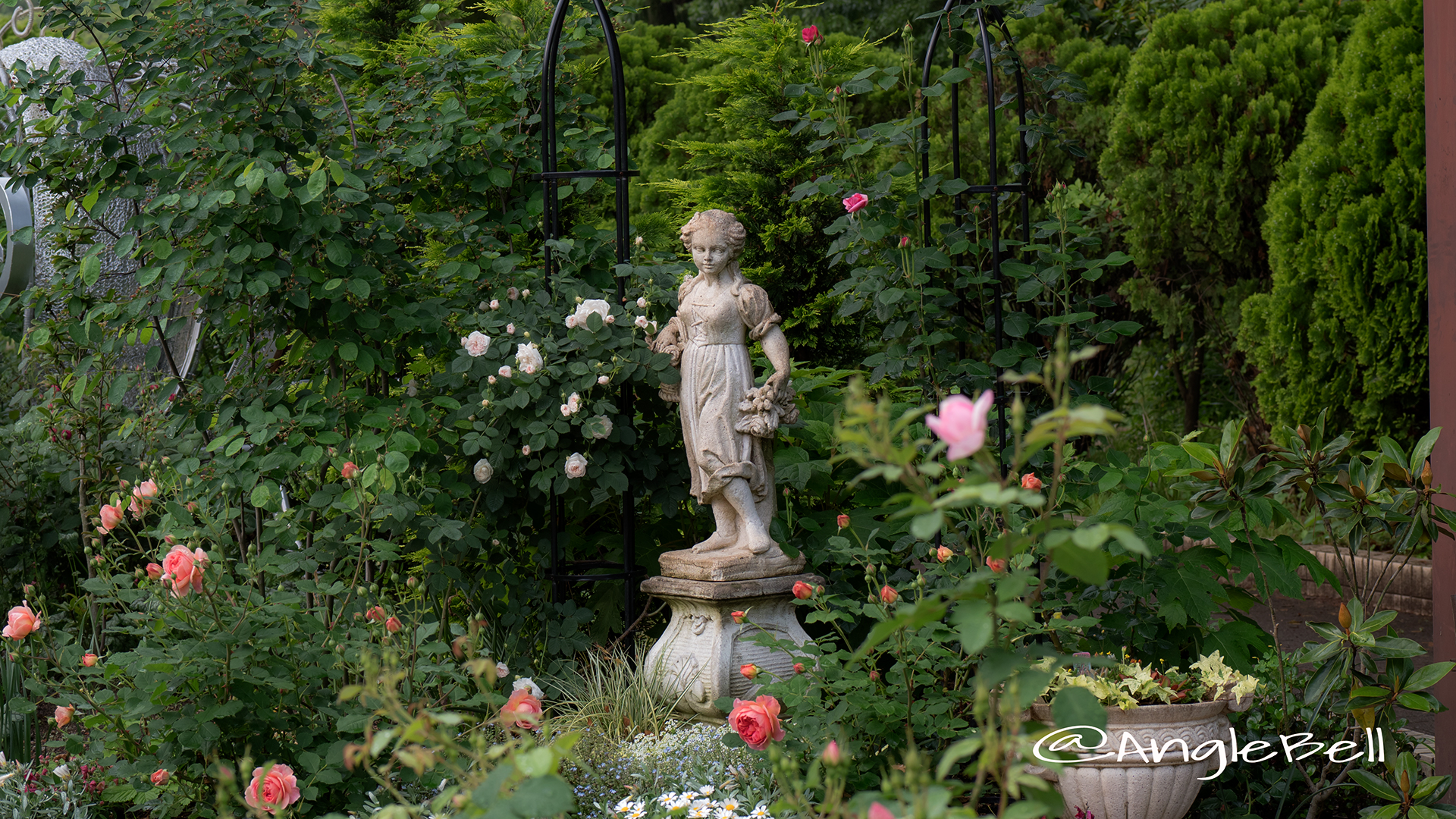 名城公園フラワープラザ 少女像とバラ
