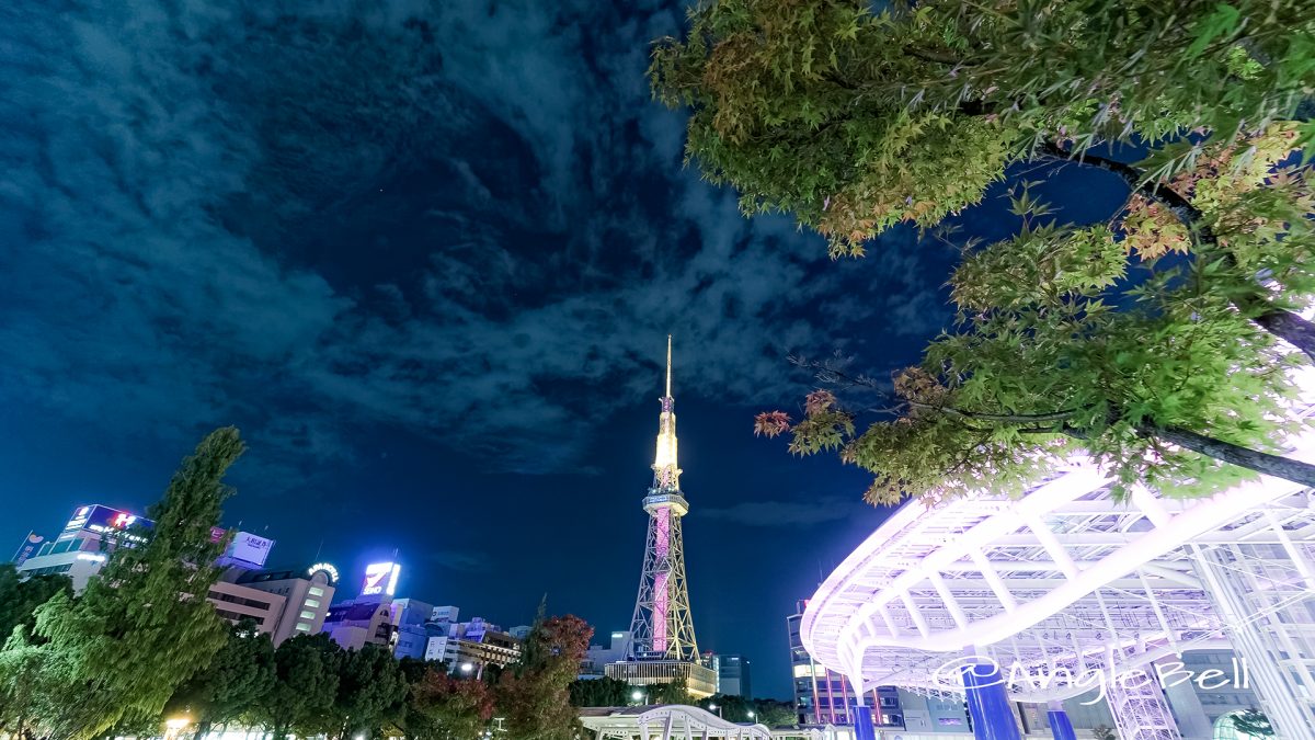 Nagoya TV Tower Oasis21  Autumn Leaves 2017