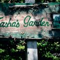 Tasha's Garden May 2017