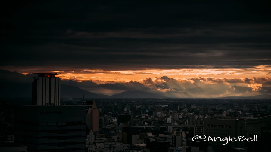 名古屋テレビ塔から見た風景