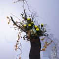 華道フェスティバル2016 華道拈華流 Photo1