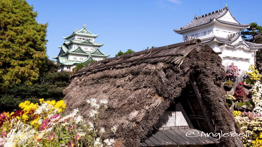 名古屋城と西南隅櫓