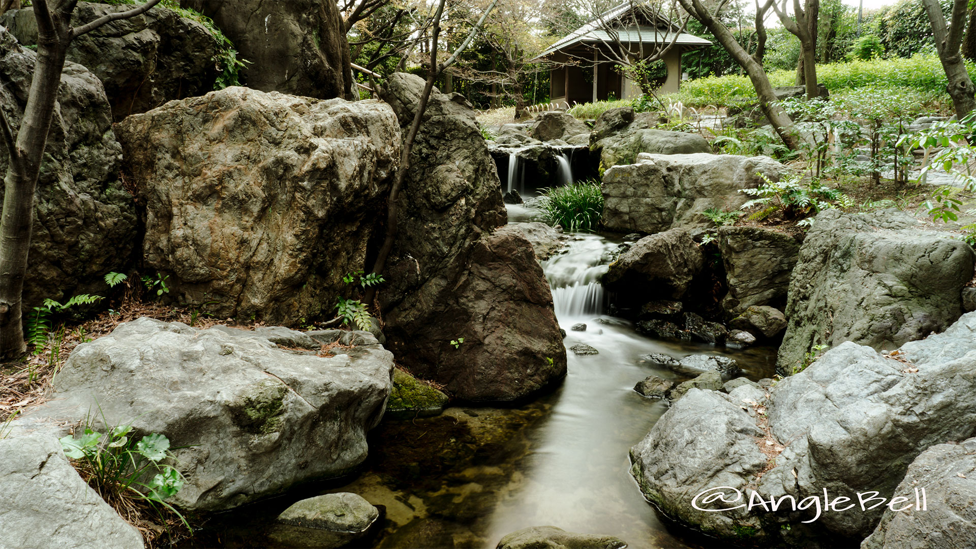 白鳥庭園 滝の景「雄滝」