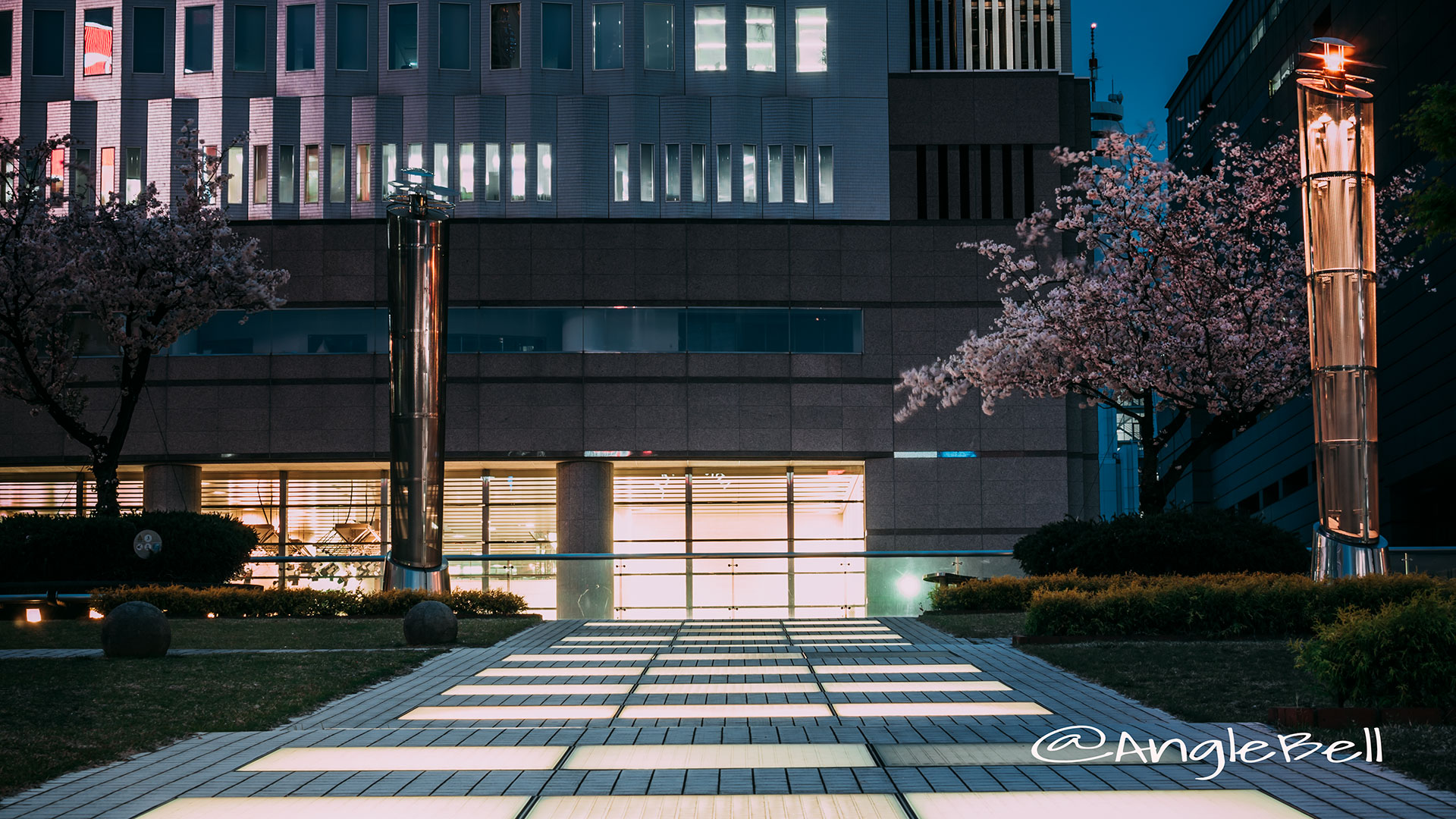 緑の大地 桜とキャンドル街灯