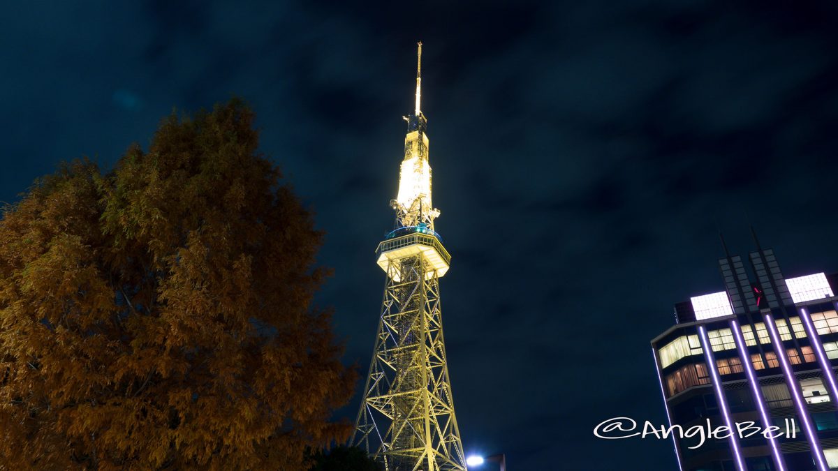 オアシス21前の街路樹から見る名古屋テレビ塔 Night
