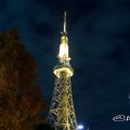 オアシス21前の街路樹から見る名古屋テレビ塔 Night
