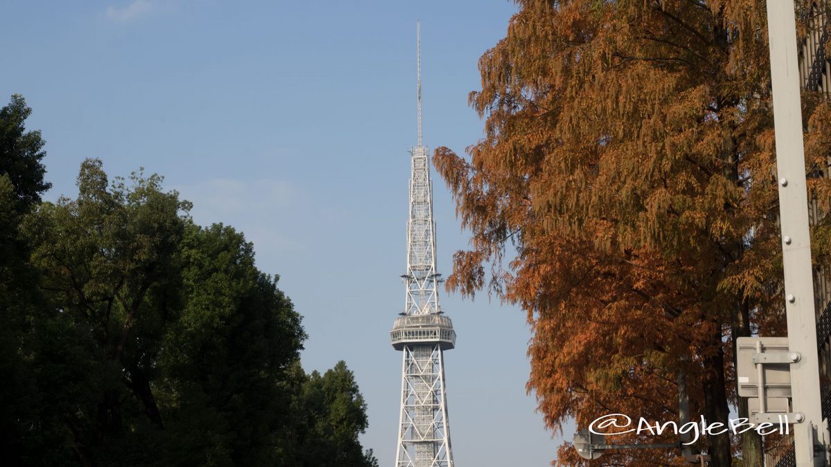 街路樹と名古屋テレビ塔