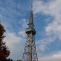 オアシス21前の街路樹から見る名古屋テレビ塔