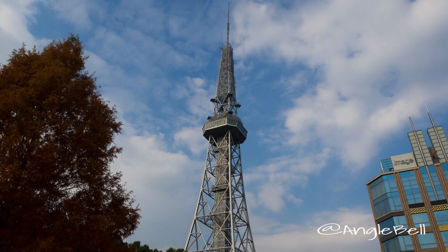 オアシス21前の街路樹から見る名古屋テレビ塔