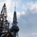 桜通久屋東 名古屋テレビ塔と街路樹