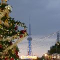 名古屋テレビ塔とクリスマスツリー2016