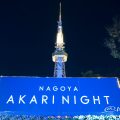 NAGOYA AKARI NIGHT2016 アカリの花壇