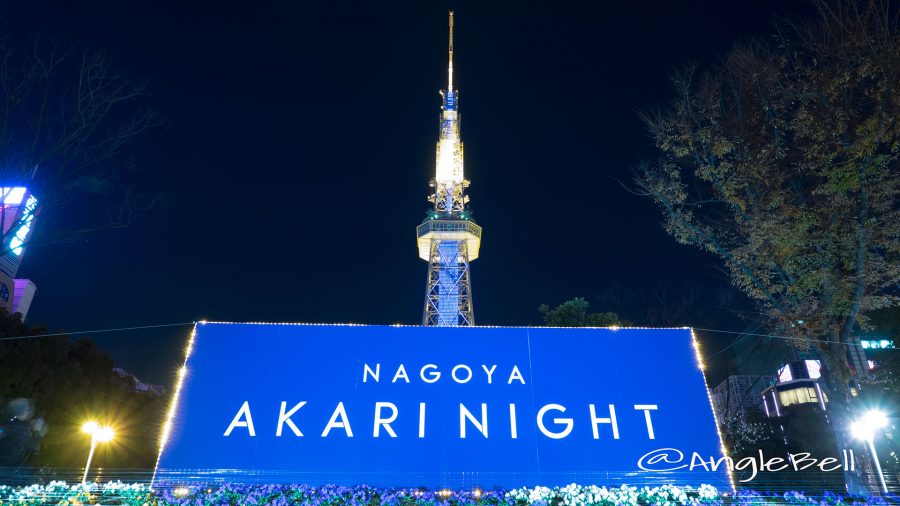 NAGOYA AKARI NIGHT2016 アカリの花壇