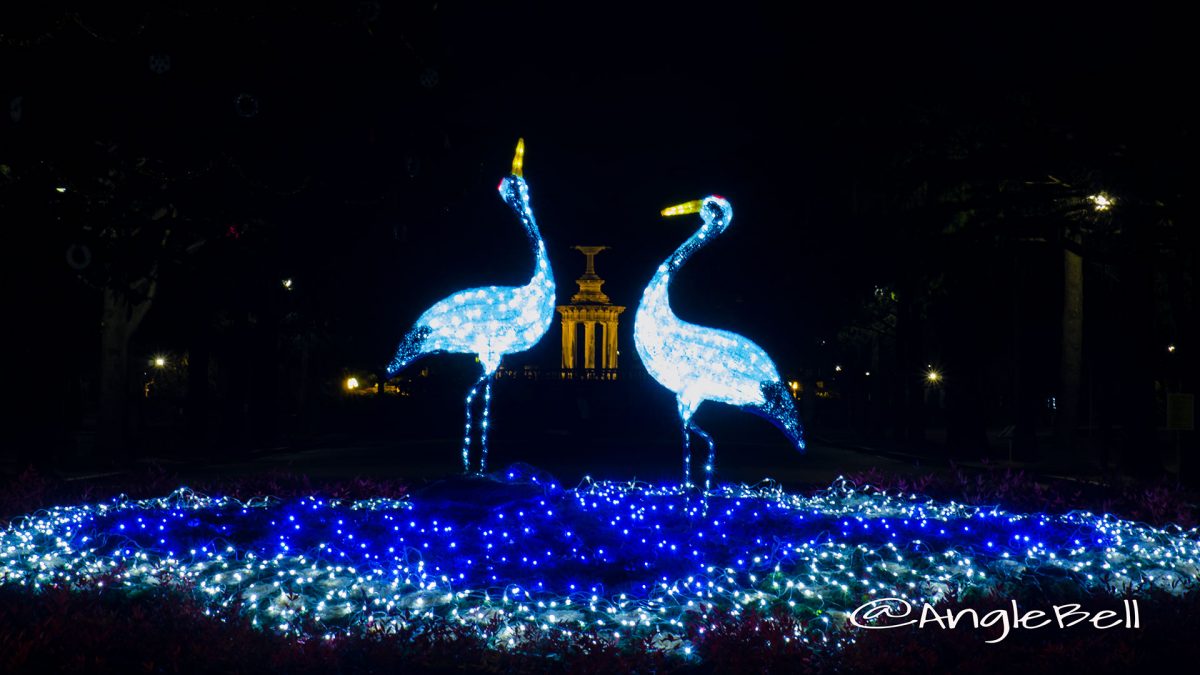 鶴舞公園 正面花壇の二羽の鶴 ライトアップ2016
