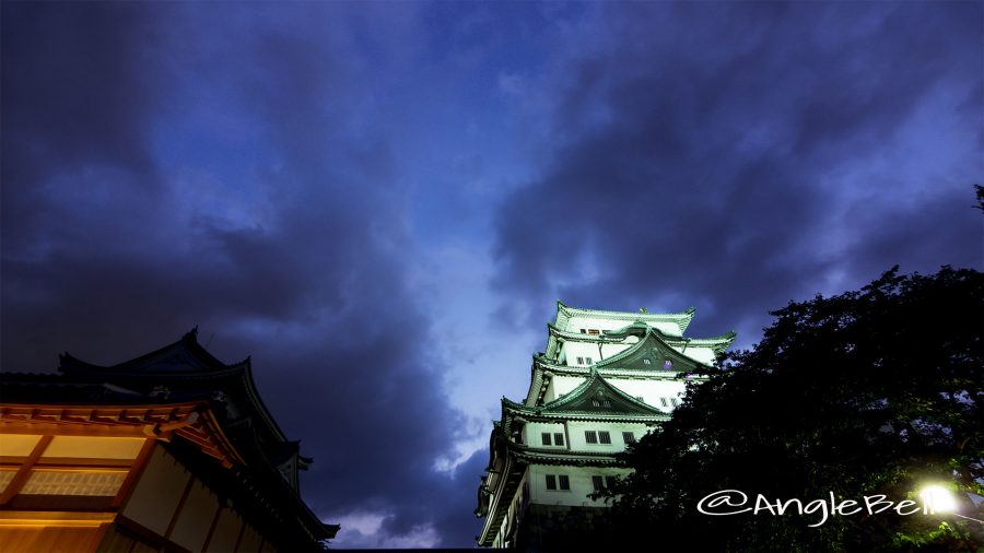 名古屋城と本丸御殿 夜景