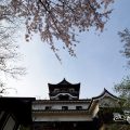 犬山城天守閣と桜