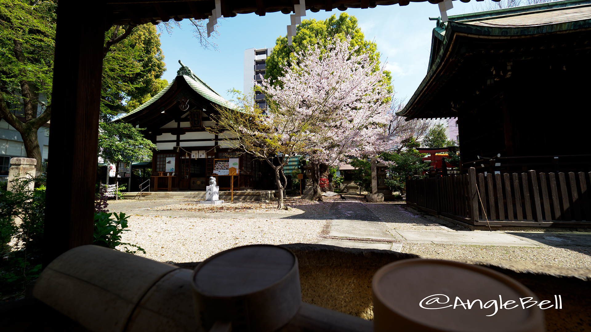 手水舎 大須 三輪神社・桜