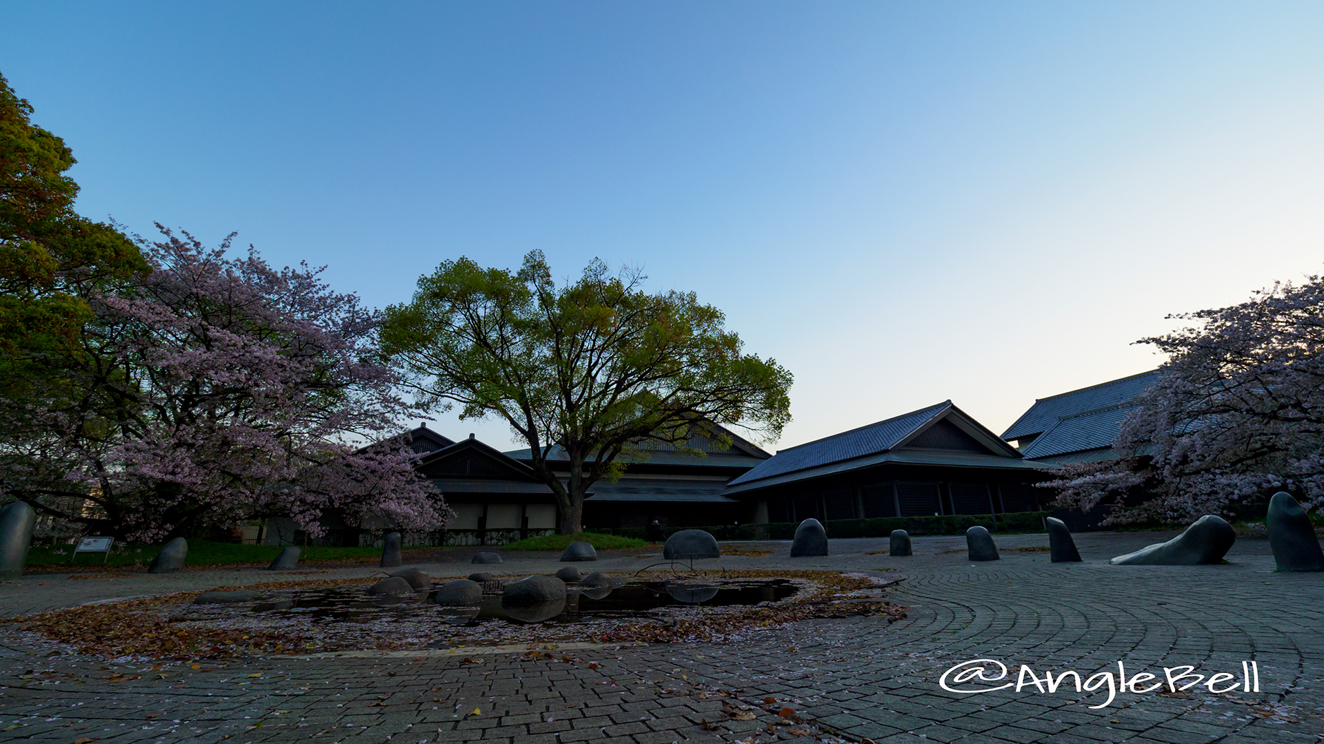 早朝 名城公園 彫刻の庭 水広場