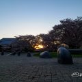 名城公園 彫刻の庭 水広場から見る朝日