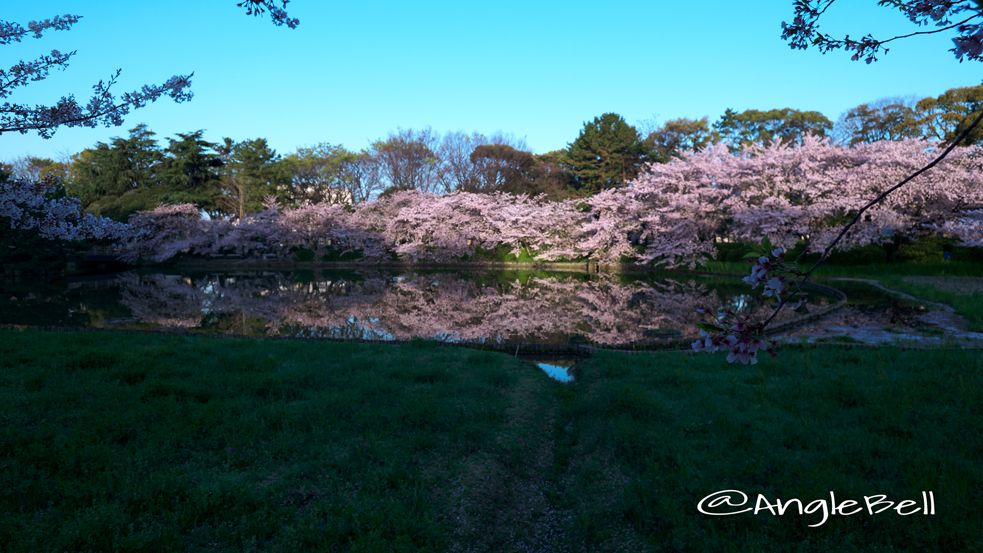 名城公園北園 御深井池(おふけ池)