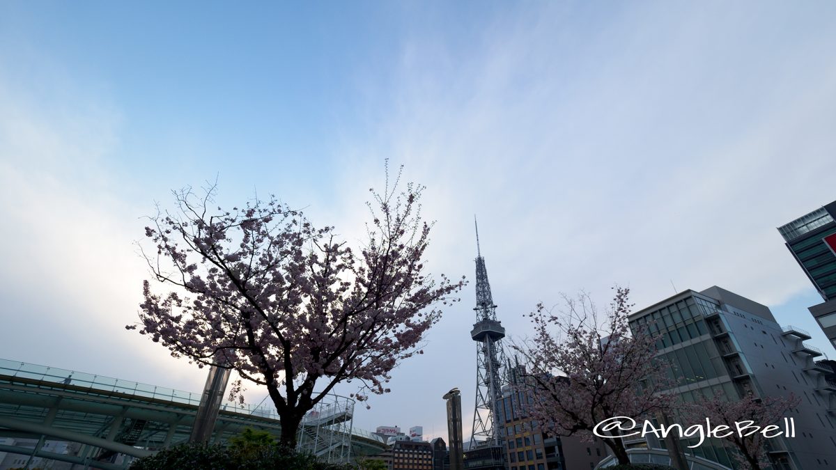 オアシス21 桜とテレビ塔