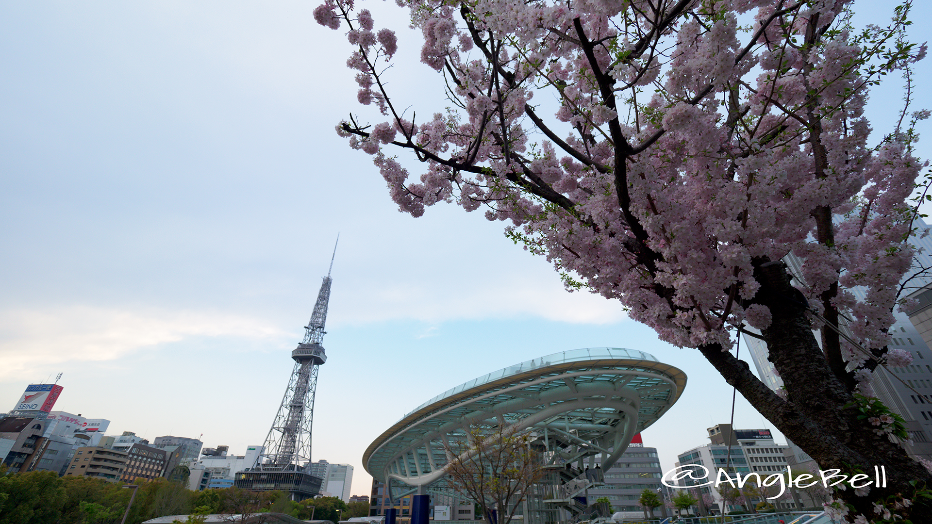 オアシス21南側から見る名古屋テレビ塔とサクラ