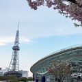 Nagoya TV Tower Oasis21 Cherry Blossoms