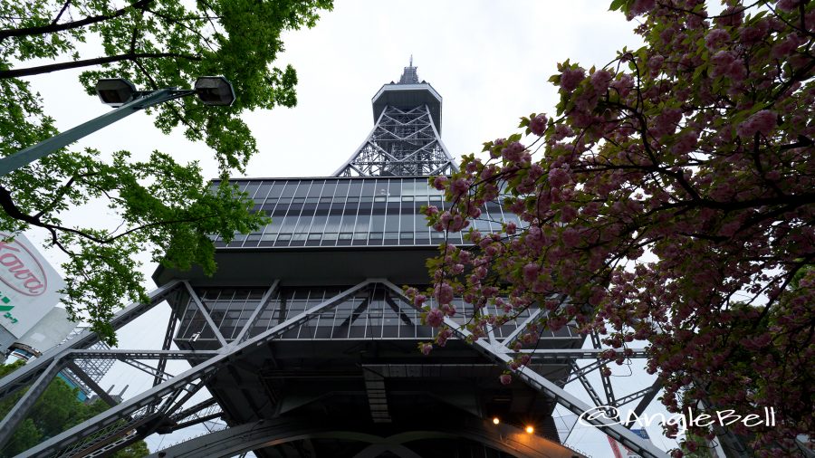 名古屋テレビ塔と八重桜 朝