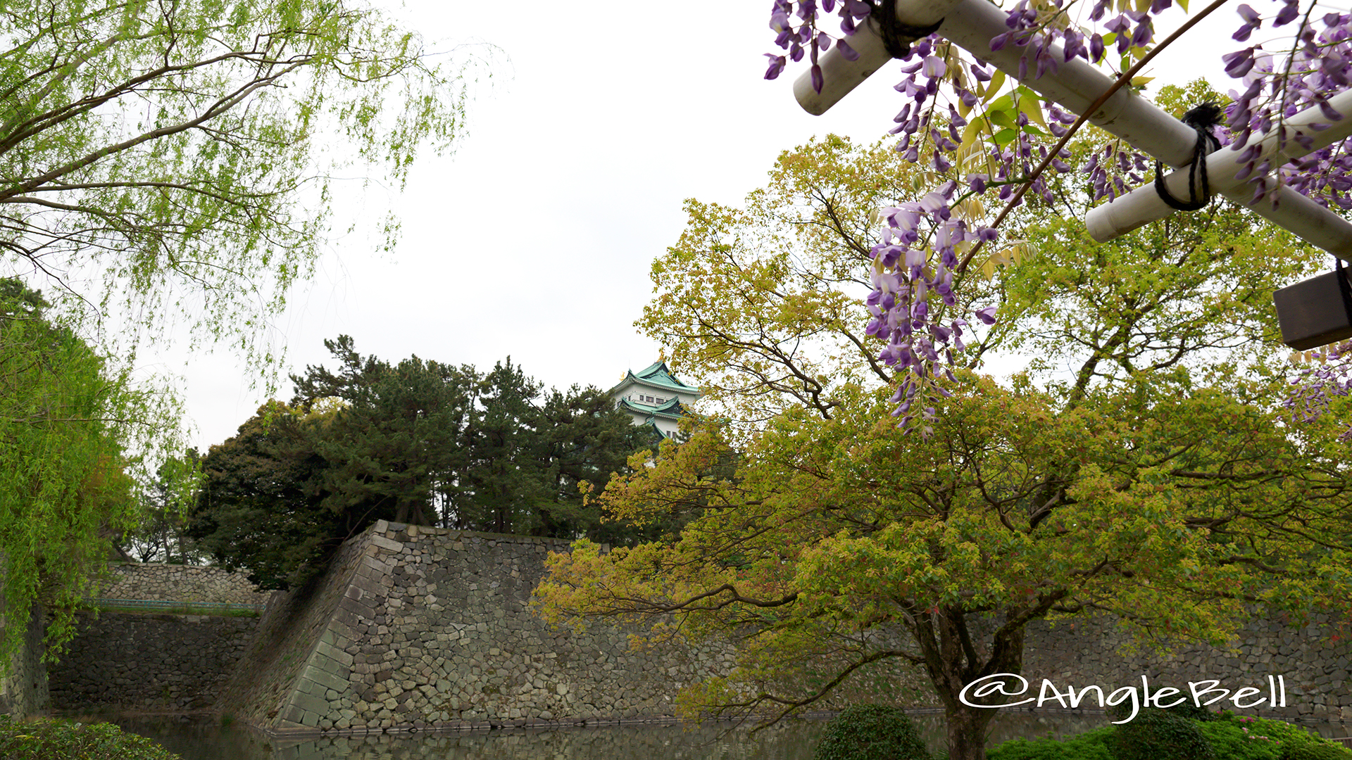 藤と名古屋城