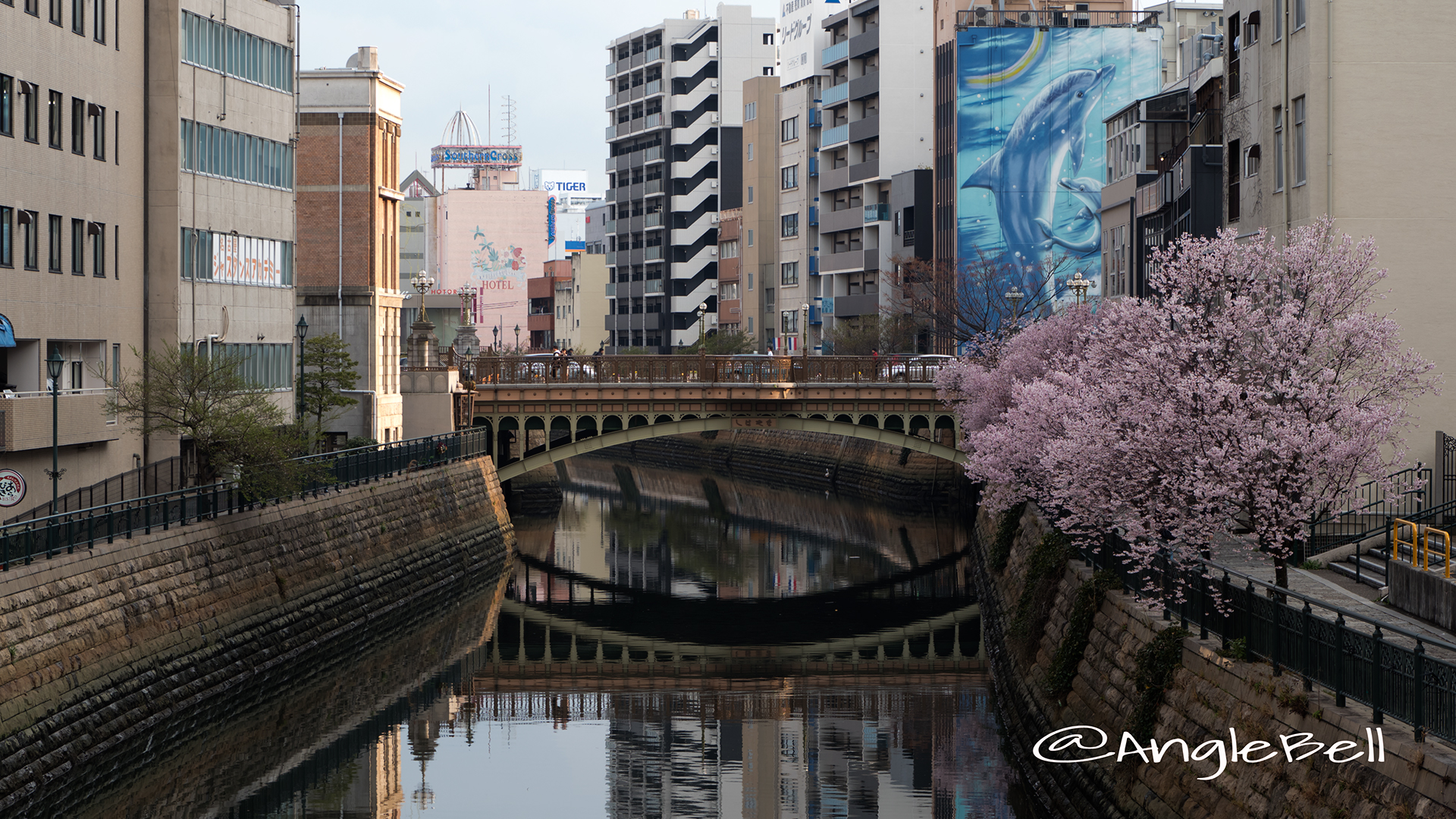 名古屋伏見 納屋橋と桜