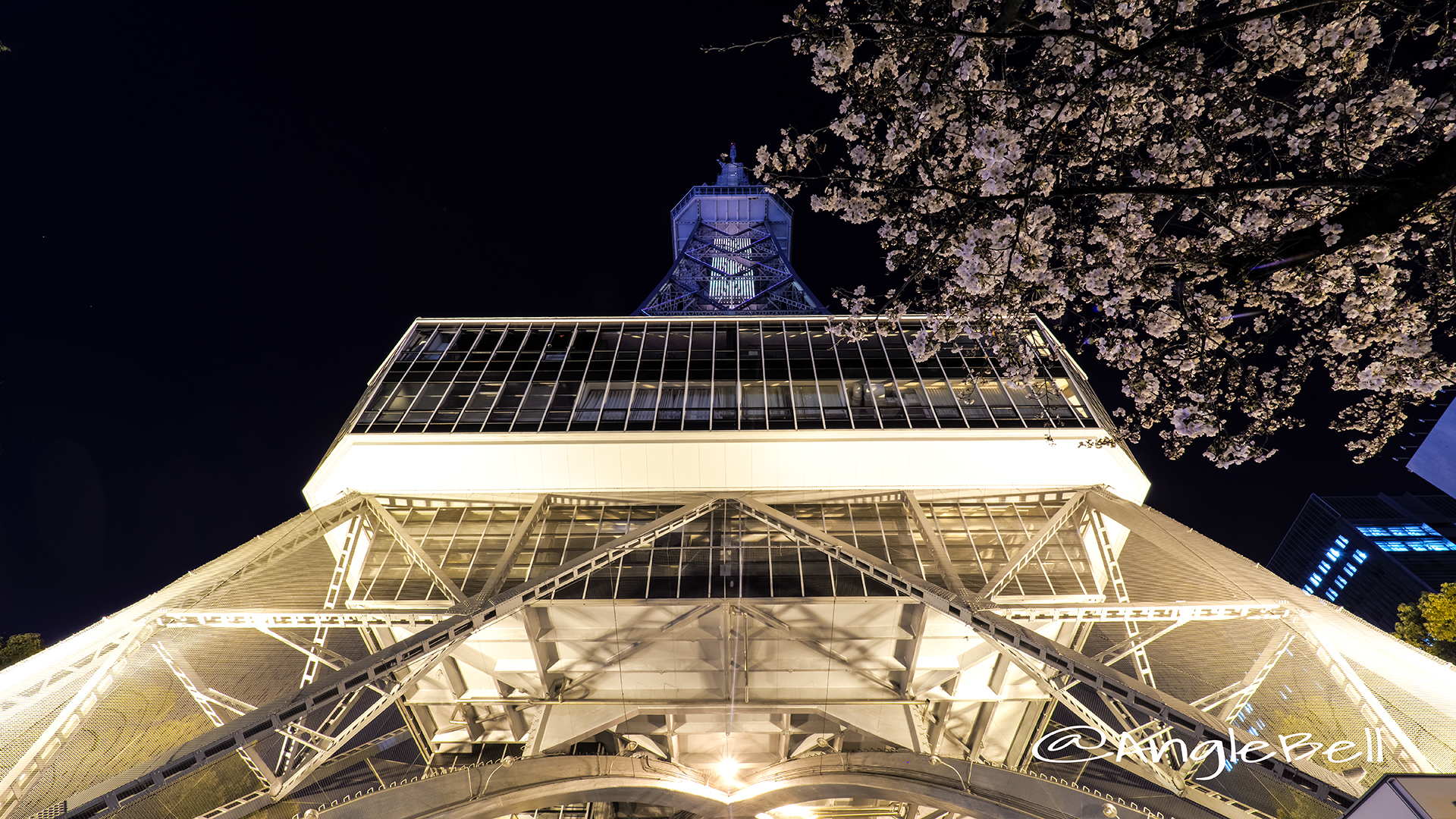 Nagoya TV Tower SAKURA NIGHT