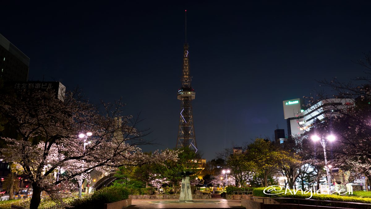 夜桜 名古屋テレビ塔と白頭鷲の像