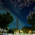 Cherry Blossoms at Night Nagoya TV Tower