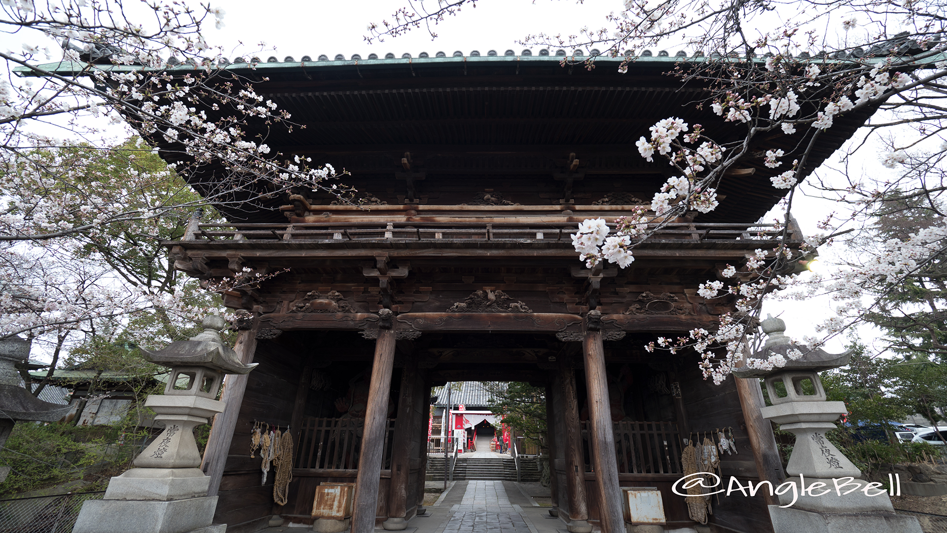 笠寺観音 桜