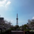 名古屋テレビ塔と白頭鷲の像