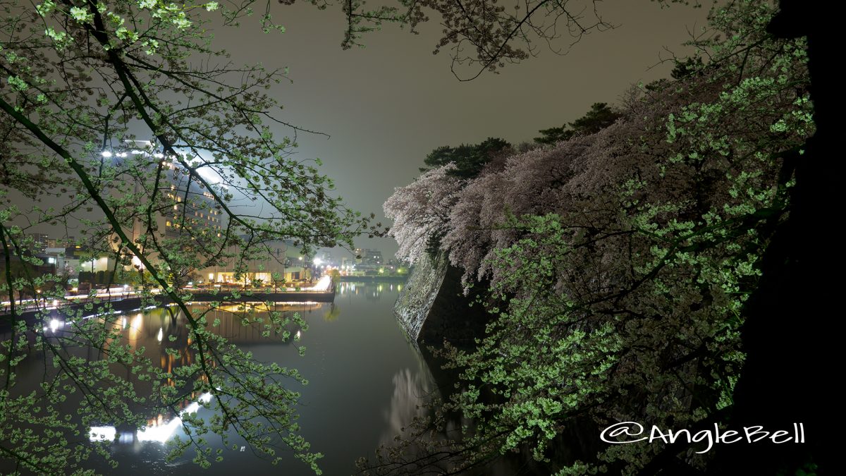 名古屋城外堀の石垣 夜桜と水景