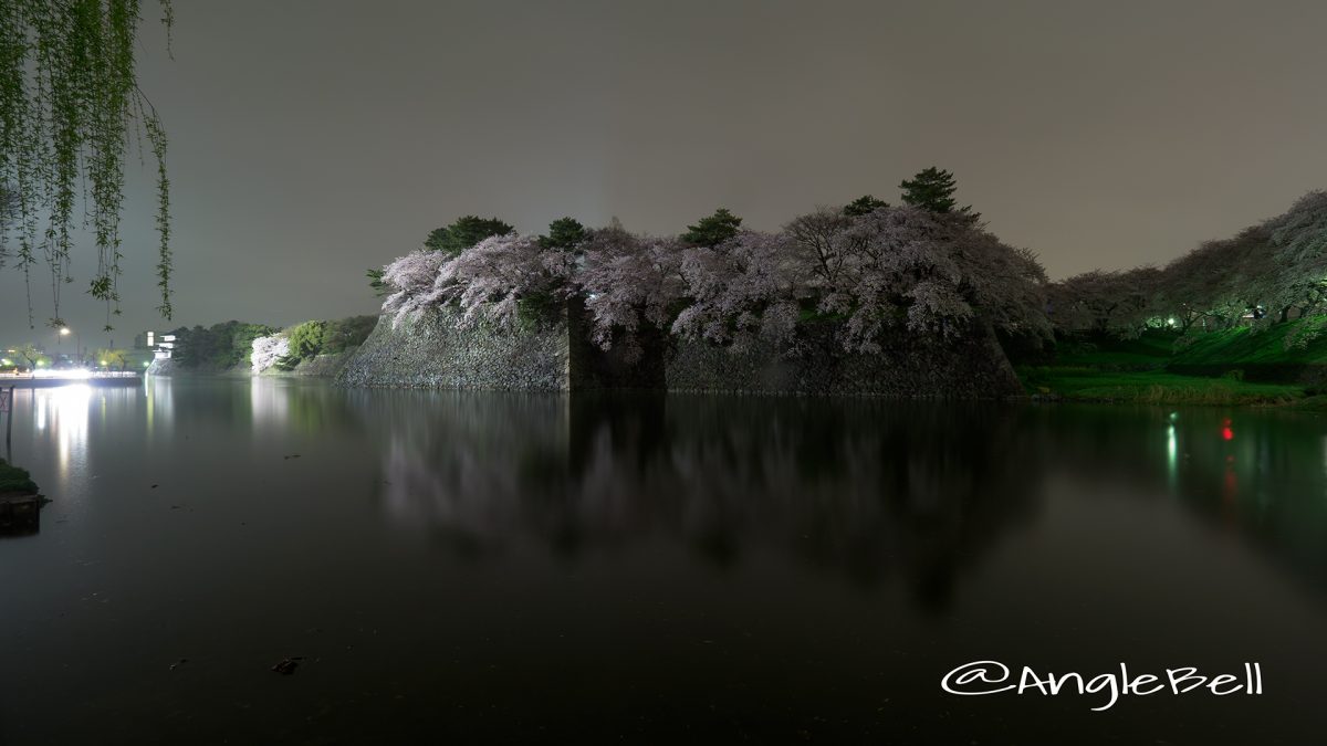 名古屋城 城西 外堀の石垣 桜と水景