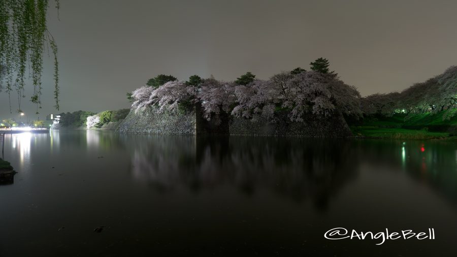 名古屋城 城西外堀の石垣 桜と水景