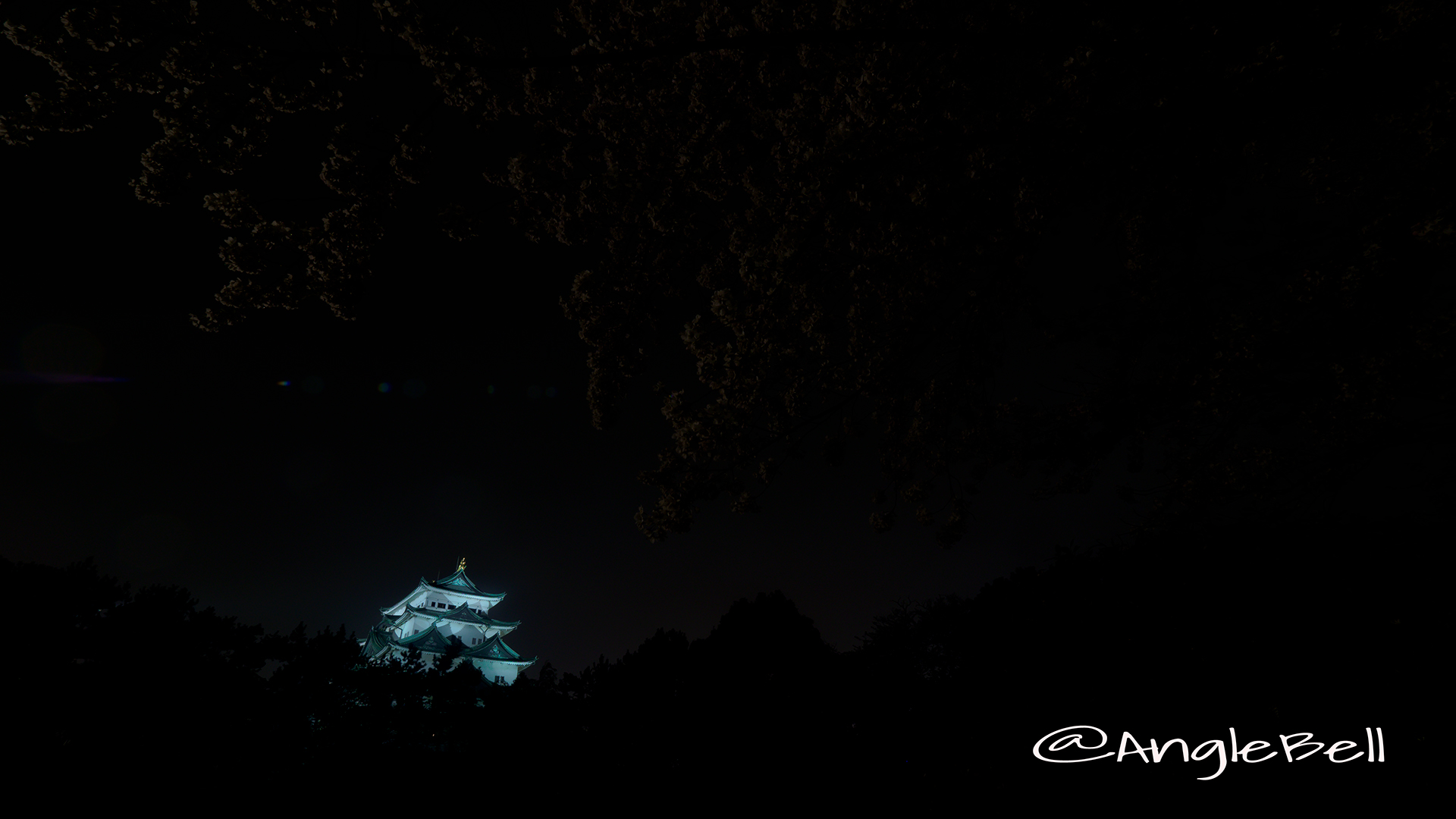 Nagoya Castle Night view