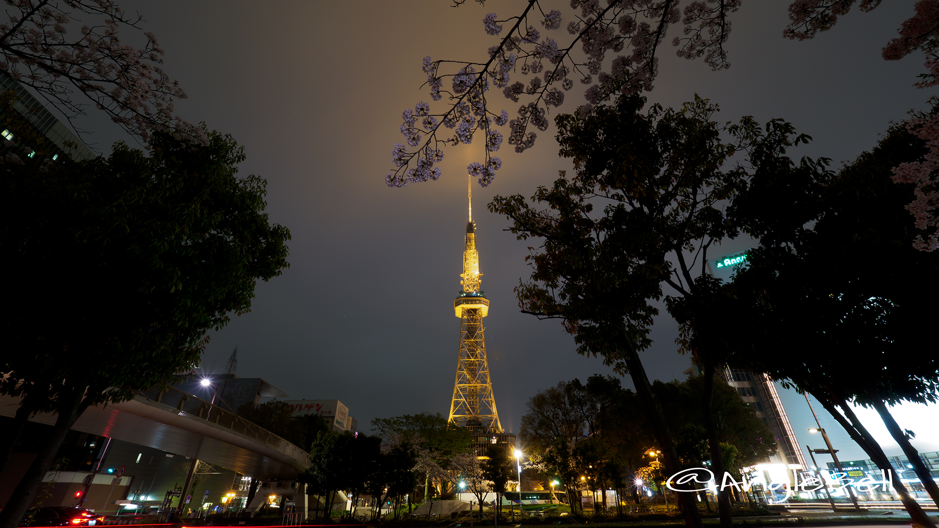 桜通 名古屋テレビ塔と桜