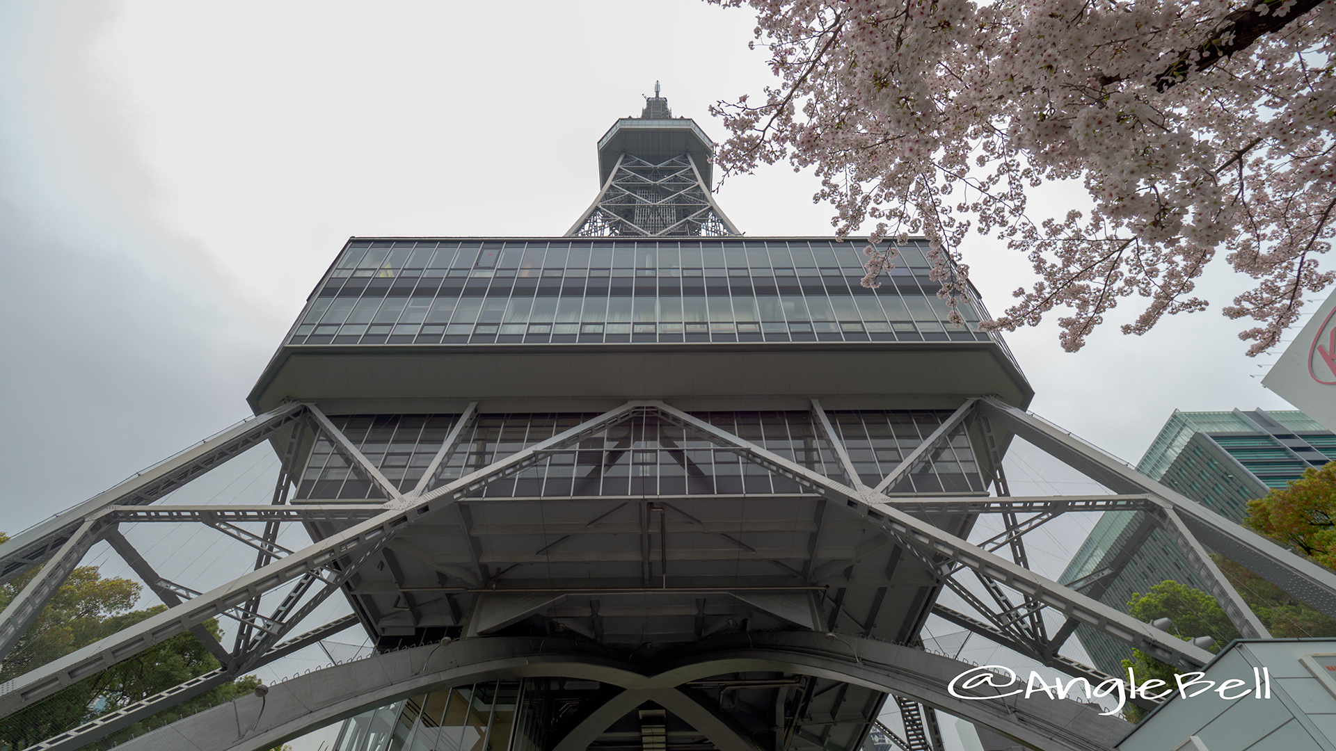 Nagoya TV Tower SAKURA